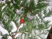 P1011560.JPG